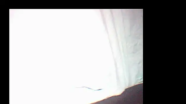 Snapshot of pietje1991 chatting on 12-19-25, 03:52 pietje1991 online show from 12-19-25, 03:52