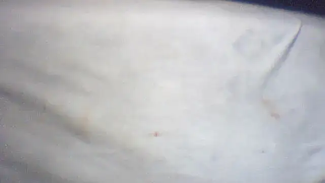 Snapshot of pietje1991 chatting on 02-25-26, 01:43 pietje1991 online show from 02-25-26, 01:43