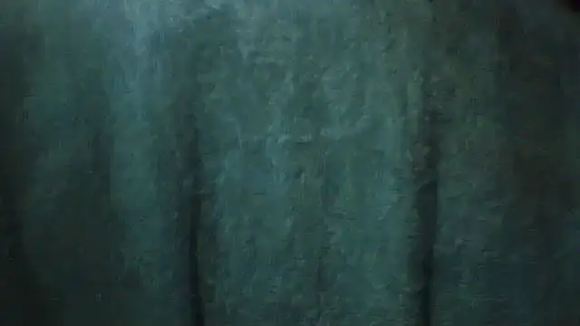 Snapshot of pietje1991 chatting on 02-28-26, 03:46 pietje1991 online show from 02-28-26, 03:46