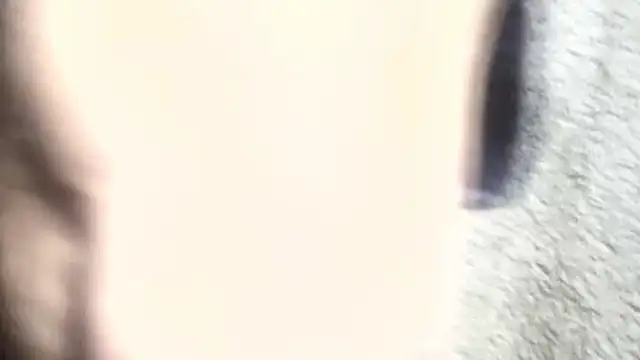 Snapshot of pietje1991 chatting on 03-06-26, 01:18 pietje1991 online show from 03-06-26, 01:18