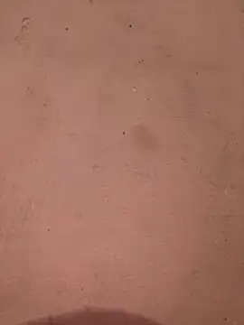 Snapshot of sakshi5533 chatting on 11-28-25, 07:27 sakshi5533 online show from 11-28-25, 07:27