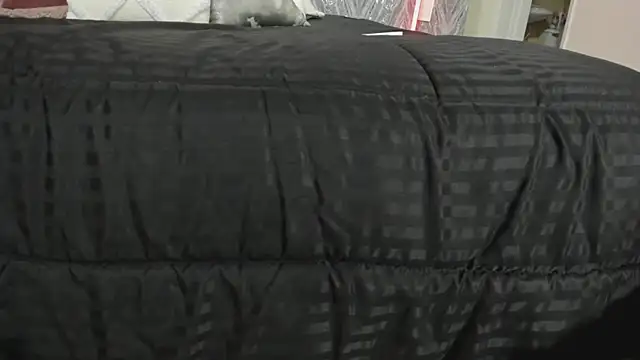 Snapshot of MartinaRizzi chatting on 02-21-26, 08:43 MartinaRizzi online show from 02-21-26, 08:43