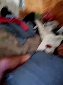 Snapshot of alber907 chatting on 02-04-26, 12:33 alber907 online show from 02-04-26, 12:33