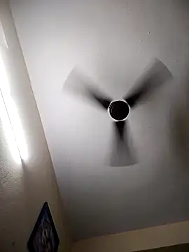 Snapshot of Devi-with-Ram chatting on 11-29-25, 02:42 Devi-with-Ram online show from 11-29-25, 02:42