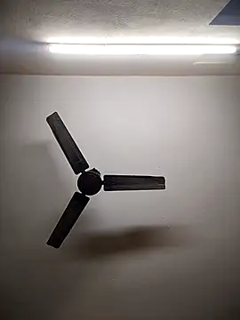 Snapshot of Devi-with-Ram chatting on 12-03-25, 07:38 Devi-with-Ram online show from 12-03-25, 07:38