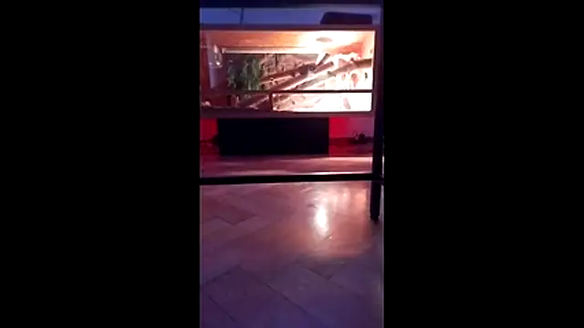 Snapshot of M6I6K6E@xh chatting on 12-04-25, 07:28 M6I6K6Exh online show from 12-04-25, 07:28