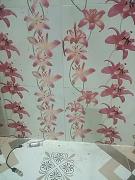 Meenaksi-singh online show from 10-01-25, 07:42