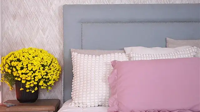 Sofy Bradd online show from 11-08-25, 08:36