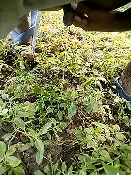 Snapshot of BlackhorseBBC chatting on 10-14-25, 02:01 BlackhorseBBC online show from 10-14-25, 02:01