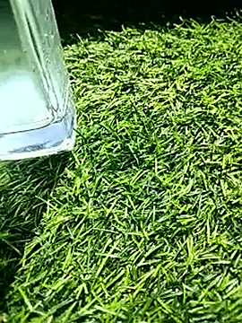 BlackhorseBBC online show from 02-18-26, 06:31