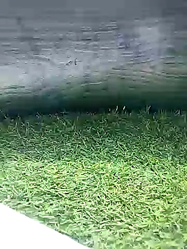 BlackhorseBBC online show from 03-26-26, 06:52