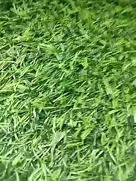 BlackhorseBBC online show from 04-12-26, 08:52