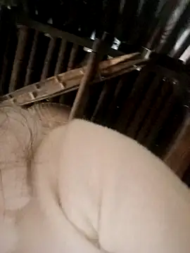 Bianly online show from 11-15-25, 02:31