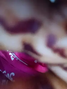 Exotic-bhabhi online show from 04-19-26, 11:31