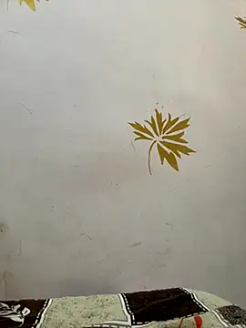 modelnishu online show from 10-17-25, 01:42