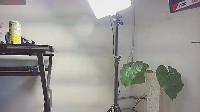 Snapshot of sakuramoss chatting on 10-24-25, 06:43 sakuramoss online show from 10-24-25, 06:43