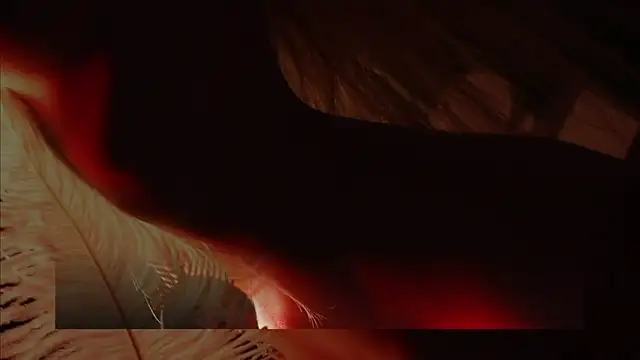 Alvuwkaa online show from 12-01-25, 08:08