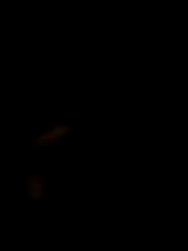 Snapshot of SofieLove_01 chatting on 12-01-25, 07:35 SofieLove 01 online show from 12-01-25, 07:35