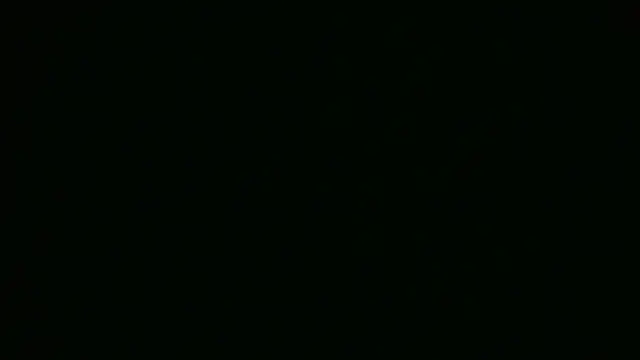 ch0wn m online show from 09-18-25, 01:13