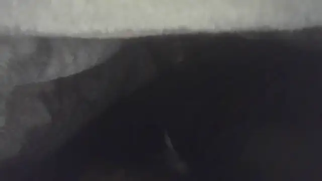 cuminsidebby online show from 04-30-26, 05:36