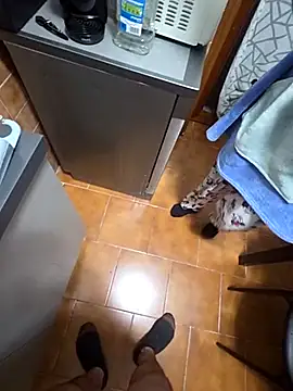 Snapshot of coppiaoraleee chatting on 11-20-25, 01:06 coppiaoraleee online show from 11-20-25, 01:06