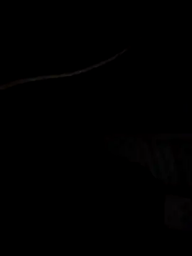 Xharmakesyoufeelorgasms online show from 10-19-25, 12:11