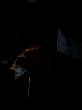 Snapshot of Real_Sucker chatting on 03-15-26, 04:57 Real Sucker online show from 03-15-26, 04:57