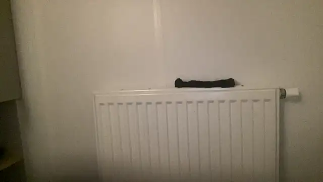 Snapshot of peterpapiNL chatting on 01-13-26, 04:34 peterpapiNL online show from 01-13-26, 04:34