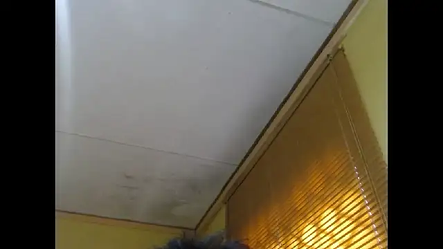 NawtyLisa online show from 03-03-26, 02:01