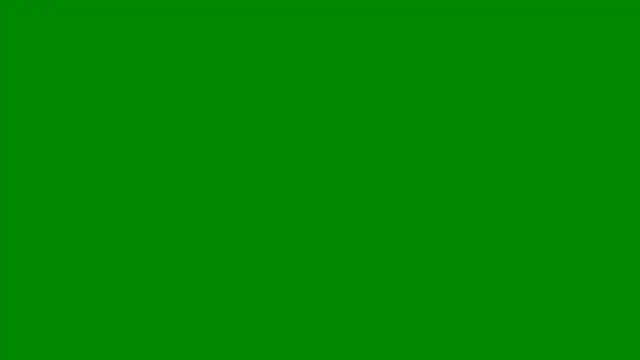 PigDadDog online show from 02-06-26, 02:05