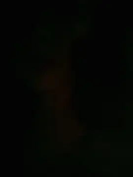 HellaWerlous online show from 01-12-26, 04:34