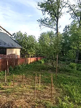 Alekseycv11 online show from 05-25-26, 04:35