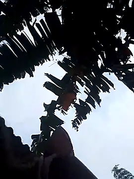 optra34 online show from 10-22-25, 11:37