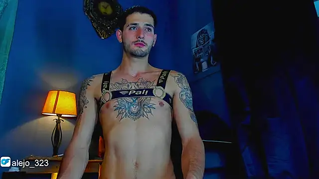 Snapshot of alejo__323__ chatting on 12-02-25, 03:12 alejo 323 online show from 12-02-25, 03:12