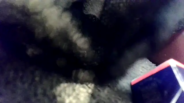 Snapshot of Evieskyy@xh chatting on 11-26-25, 10:49 Evieskyyxh online show from 11-26-25, 10:49