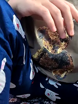 sasud2 online show from 11-03-25, 02:02