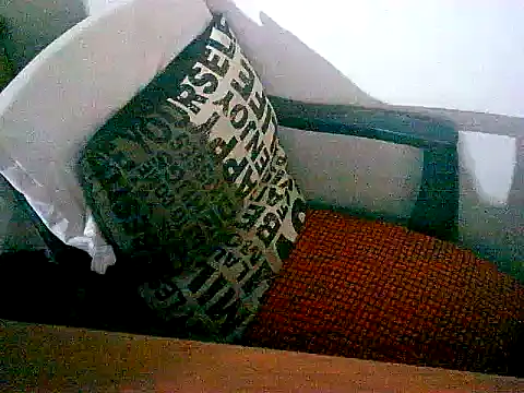 Snapshot of sacptjock83 chatting on 12-17-25, 08:59 sacptjock83 online show from 12-17-25, 08:59