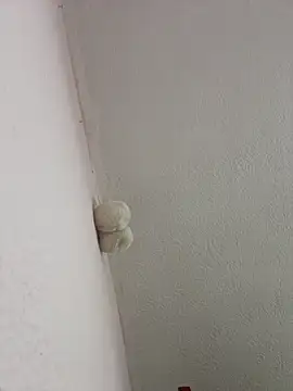 Snapshot of saranghae_ chatting on 03-02-26, 03:09 saranghae online show from 03-02-26, 03:09