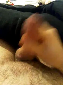 Snapshot of chrisdic27 chatting on 03-08-26, 05:44 chrisdic27 online show from 03-08-26, 05:44