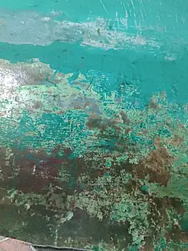 Snapshot of Love-pari077 chatting on 10-02-25, 07:04 Love-pari077 online show from 10-02-25, 07:04