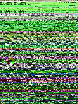 Snapshot of lynn9000 chatting on 11-20-25, 05:18 lynn9000 online show from 11-20-25, 05:18