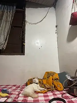 Snapshot of HugeRosalindaGoddess chatting on 12-04-25, 03:32 HugeRosalindaGoddess online show from 12-04-25, 03:32