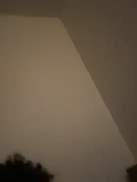 kiyomisade online show from 01-19-26, 11:25