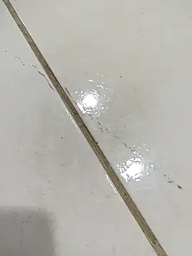 daring lily online show from 12-05-25, 01:58