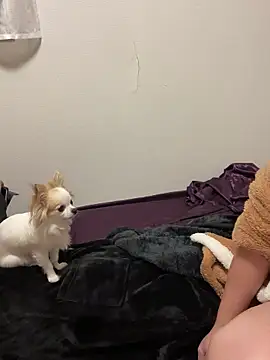 Snapshot of h415a812 chatting on 11-04-25, 07:35 h415a812 online show from 11-04-25, 07:35