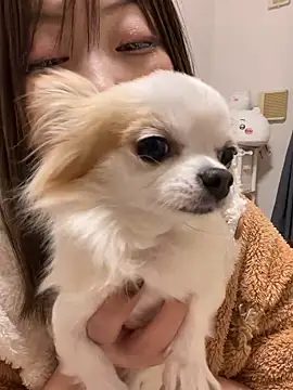 Snapshot of h415a812 chatting on 11-20-25, 01:55 h415a812 online show from 11-20-25, 01:55