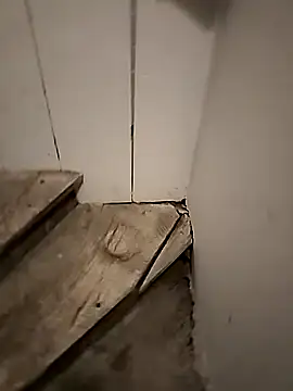 Floppy44 online show from 04-29-26, 01:21