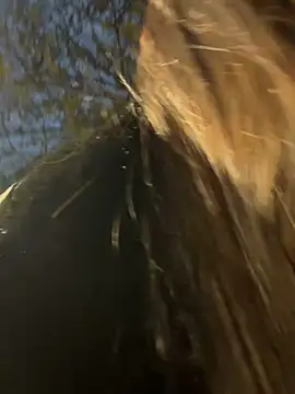 Snapshot of -juicy_ chatting on 02-17-26, 11:22 -juicy online show from 02-17-26, 11:22