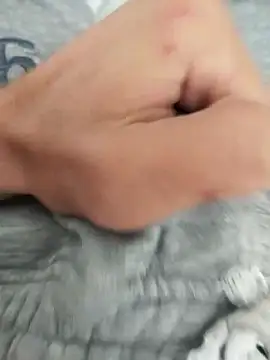 Snapshot of Tolgaistanbul34 chatting on 10-09-25, 12:58 Tolgaistanbul34 online show from 10-09-25, 12:58