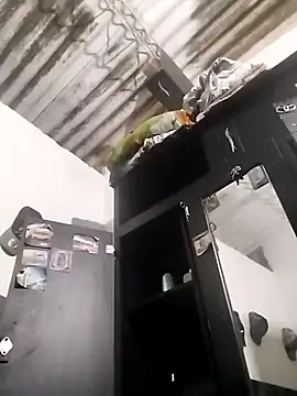 Snapshot of amelie_sex chatting on 03-05-26, 04:14 amelie sex online show from 03-05-26, 04:14